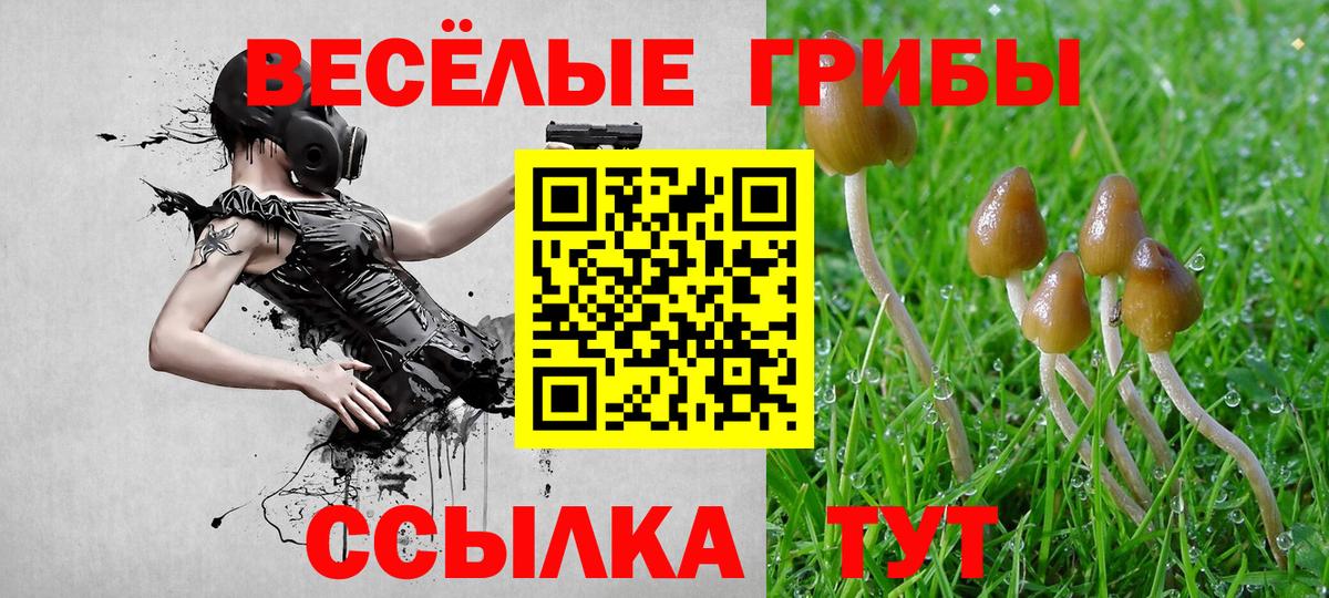 Галлюциногенные грибы мицелий Старая Купавна
