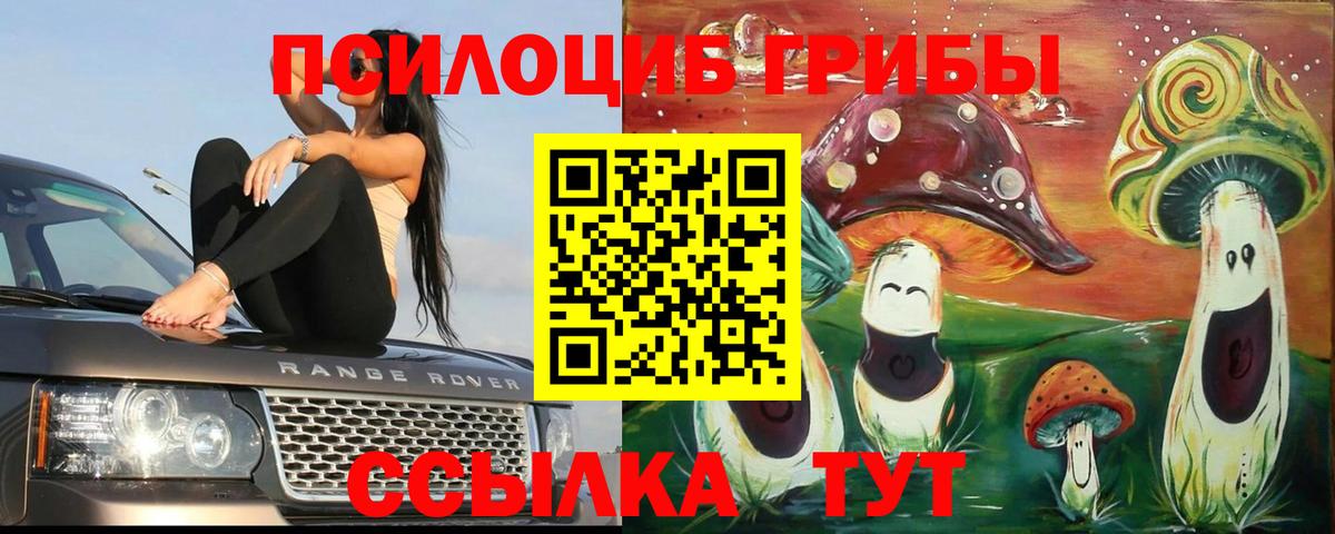 Псилоцибиновые грибы Psilocybe  Галлюциногенные грибы ЛСД  Старая Купавна  Вход с VPN 